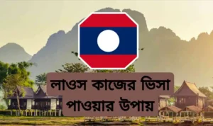লাওস ওয়ার্ক পারমিট ভিসা