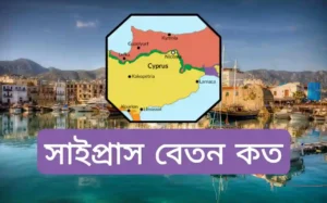 সাইপ্রাস কাজের বেতন কত